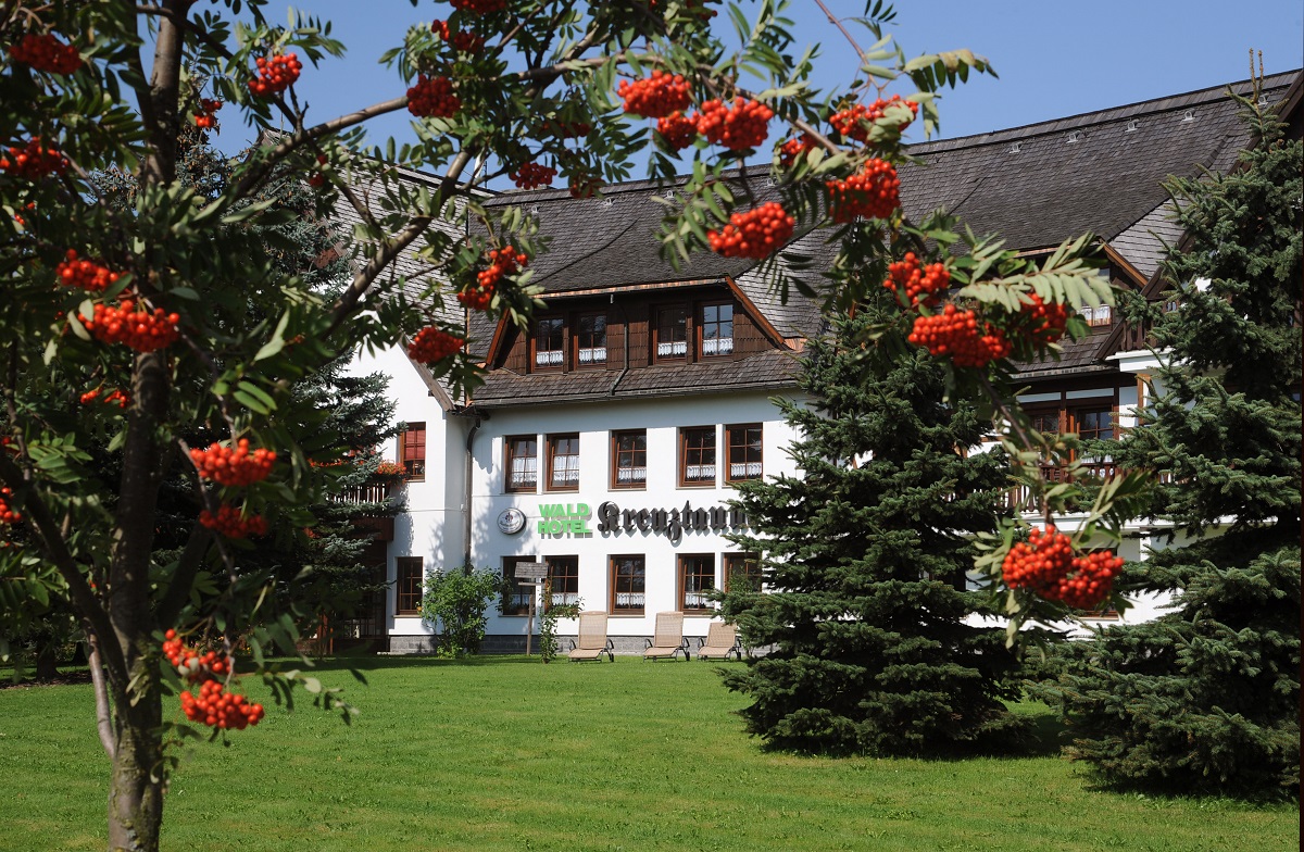 Das Waldhotel Kreuztanne     Ihr Wohlf  hlhotel Erzgebirge